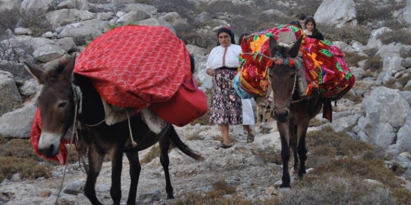 rsz_karpathos_diaf_030-768x510